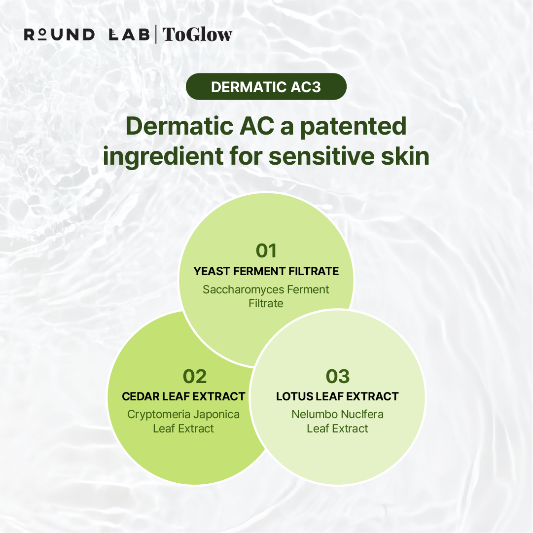 [ROUND LAB] Birch Juice Mild-Up Sunscreen SPF50+ PA++++ 50ml | Soothing SPF 50+ for Sensitive Skin with Deep Hydration